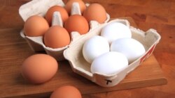 Aşgabatda ýumurtga gytçylygy ýene güýçlendi