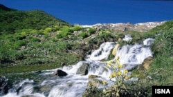 چشمه میشی در یاسوج