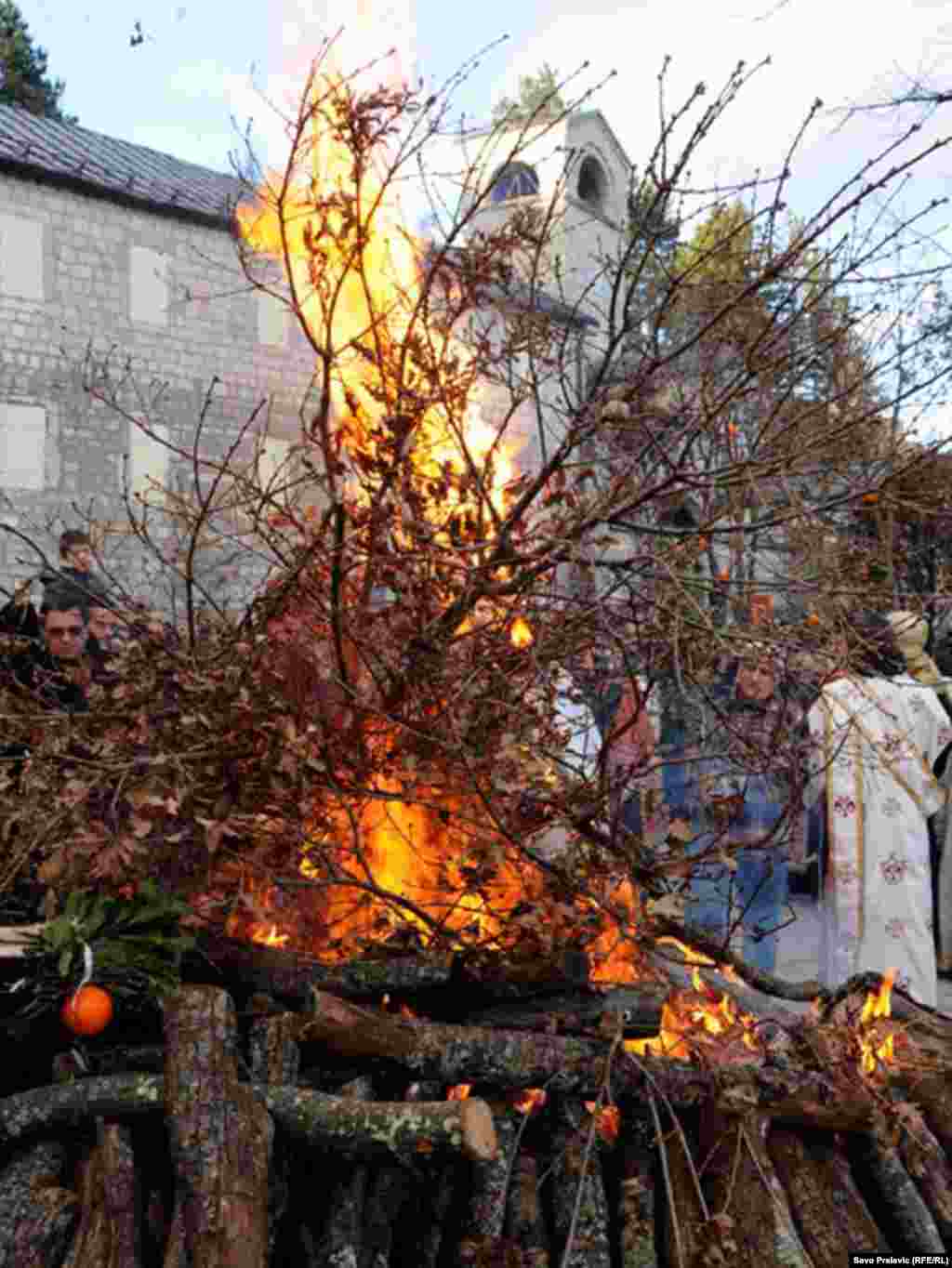 Cetinje, 06.11.2011. Foto: Savo Prelević