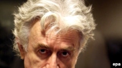 Radovan Karadžić pred Haškim sudom