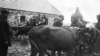 Розкуркулення: забирають реманент і худобу. Донеччина. 1930 рік