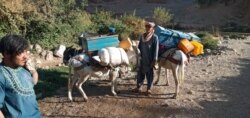 Сотни семей в районе Гизаб провинции Дайкунди были насильственно выселены талибами.