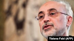 علی‌اکبر صالحی، معاون رئیس‌جمهوری و رئیس سازمان انرژی اتمی ایران