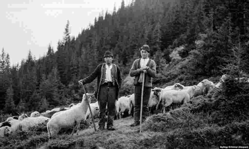 Doi păstori în munții Făgăraș, 1963 Acestea sunt doar câteva dintre cele aproape 13 000 de fotografii analoge care constituie Arhiva foto Azopan. 