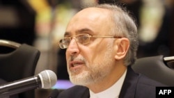 علی اکبر صالحی، رييس سازمان انرژی اتمی ایران